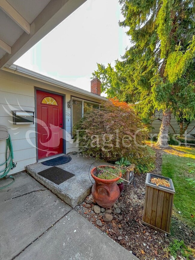 203/205 Elizabeth St. - 203/205 Elizabeth St. Apartment Unit 205ELIZ