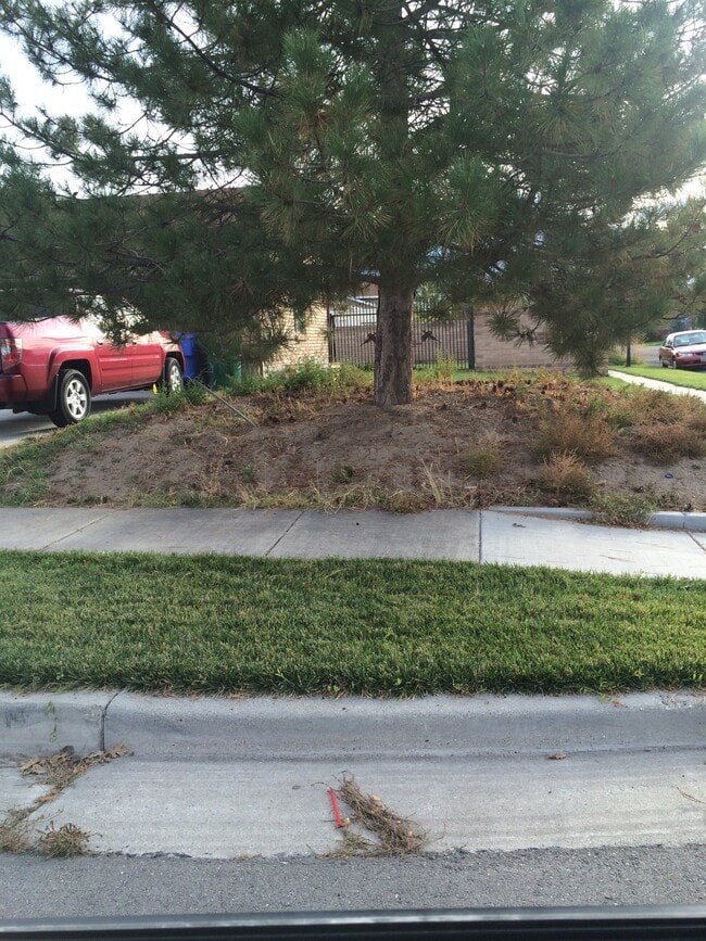 Photo - 12219 S 1440 W