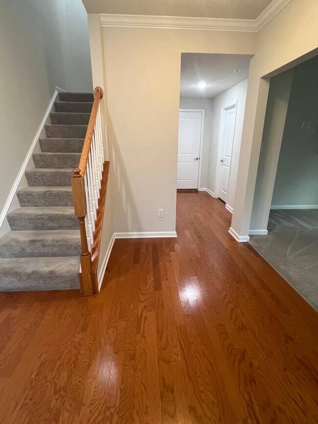 Lower Level Entrance - 2010 Hemlock Ln