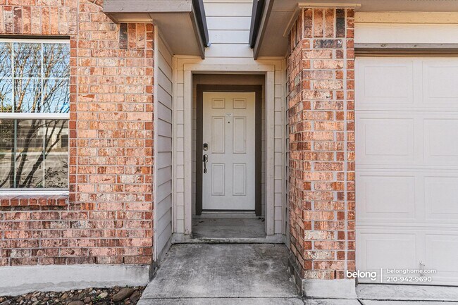 Photo - 1502 Mourning Dove