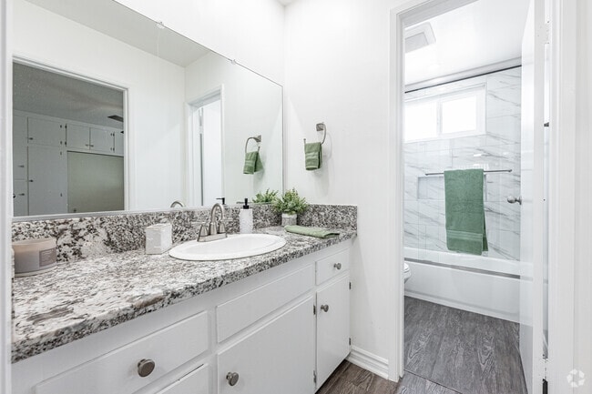 1BR, 1BA, - 725SF - Bathroom