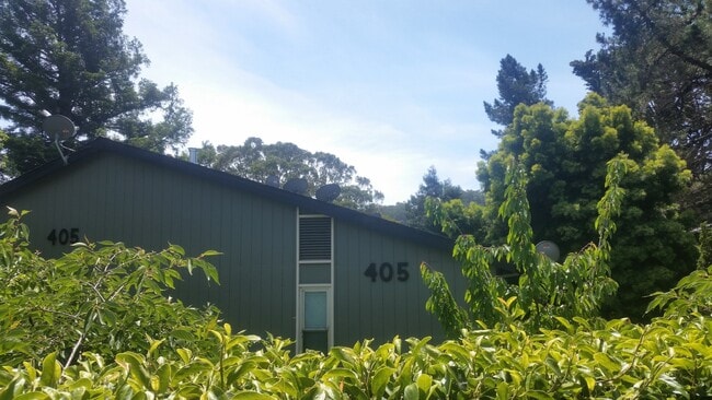 Photo - MOVE-IN READY! Peaceful 1-Bedroom Top Floo... Unit 30