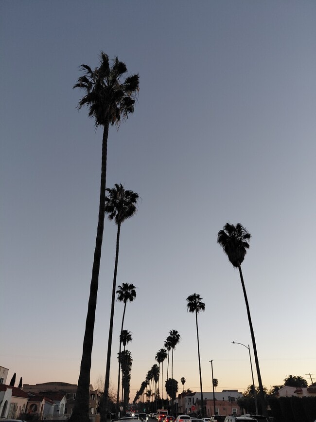 Building Photo - 2627 Buckingham Rd Unit 2bd 1 ba 1,100 sq ft