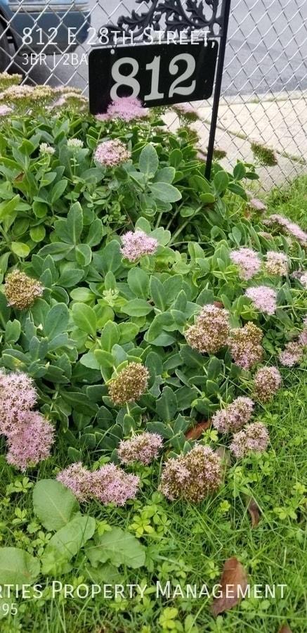 Photo - 812 E 28th St