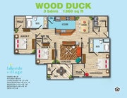 Wood Duck A