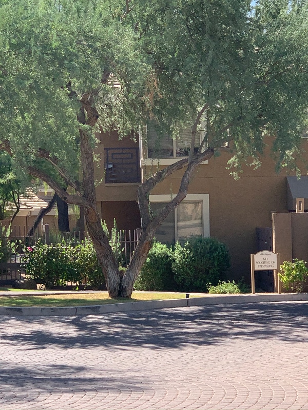 Photo - 1411 E Orangewood Ave Unidad 116