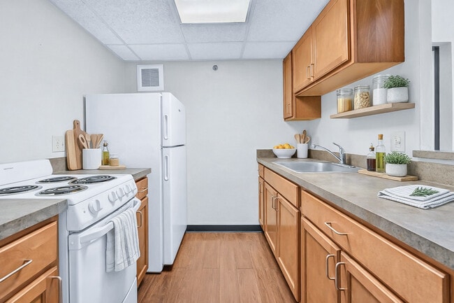 Modern Kitchen at Kingsbury Towers