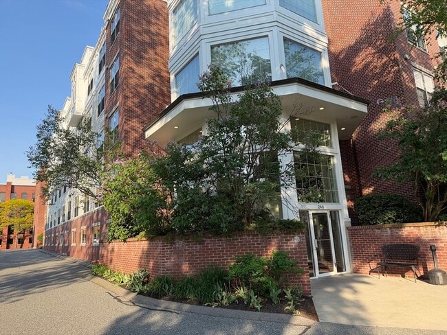 Building Photo - 248 Albion St Unit 312
