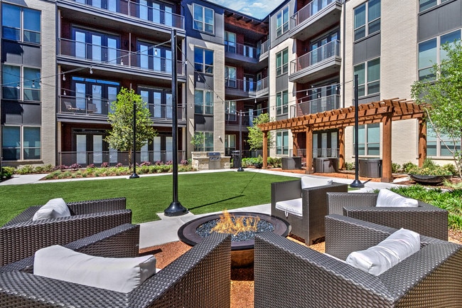 Photo - Teak at the Branch