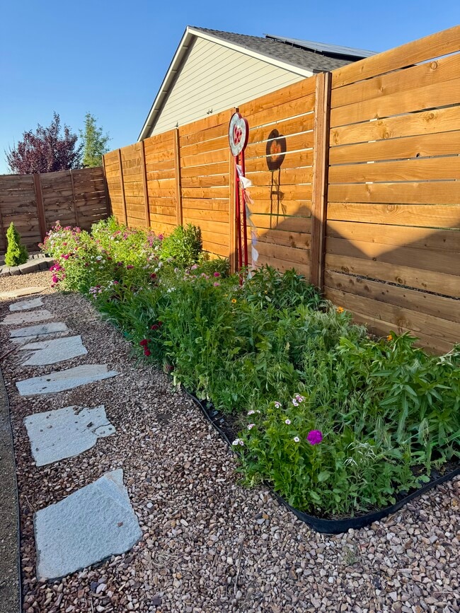 Wildflower garden space during bloom.
