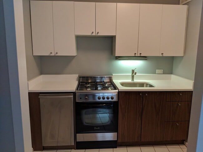Photo - 1150 N Lake Shore Dr Unit APT 14J
