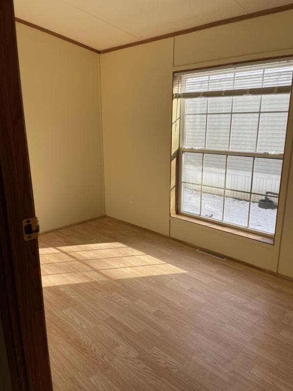 Photo - 24054-2M-43 M-43