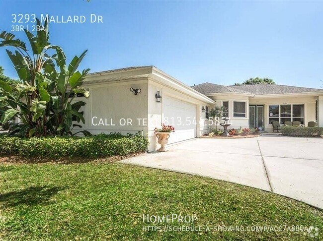 Building Photo - Beautiful Safety Harbor Pool Home