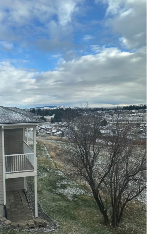 Building Photo - 1545 Capri Ct