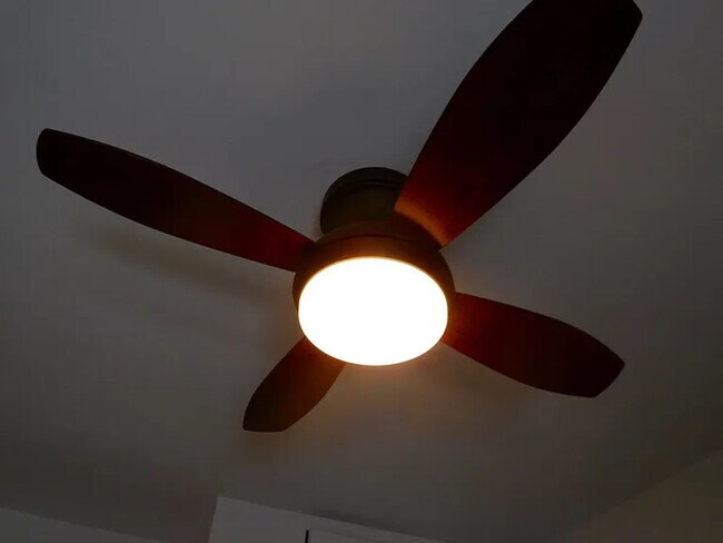 Photo - 3519 N Pine Grove Ave Unit APT 2N