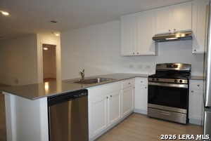 12903 Lake Fryer