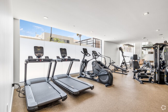 Gym - WM by CLG