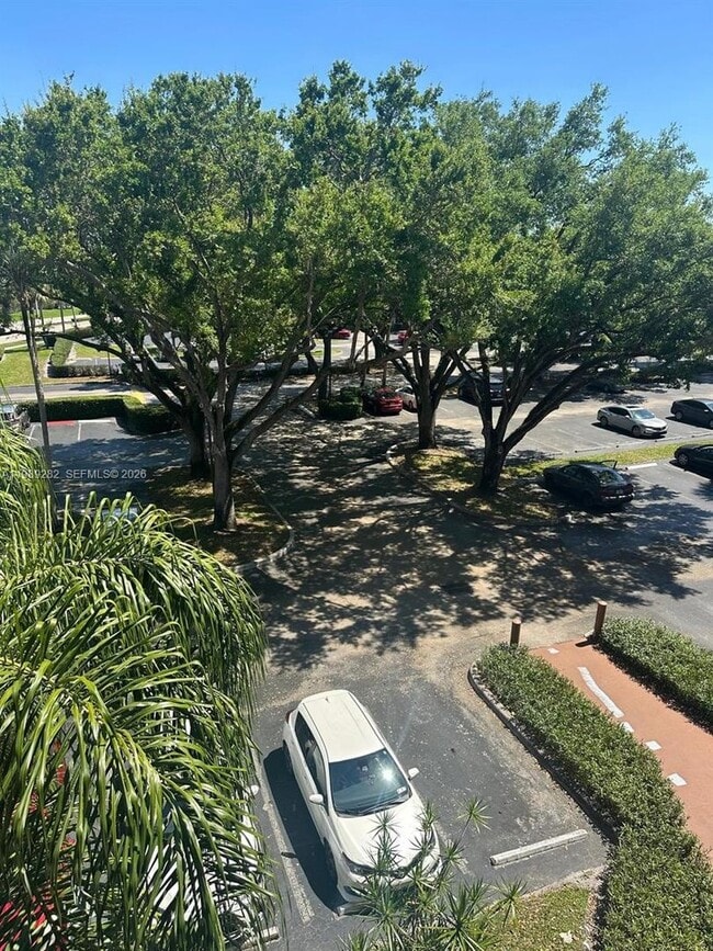 Photo - 1811 Sabal Palm Dr