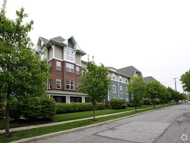 Photo - Steeplechase