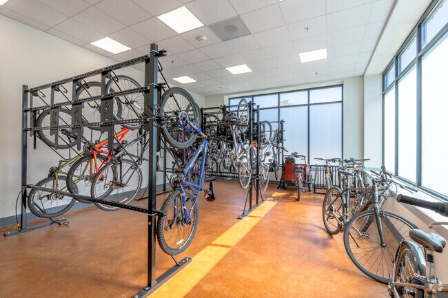 Bicycle Storage