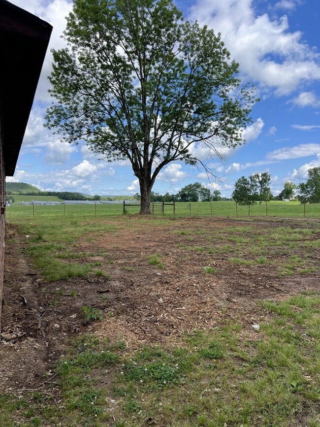 Photo - 2713 State Hwy 315