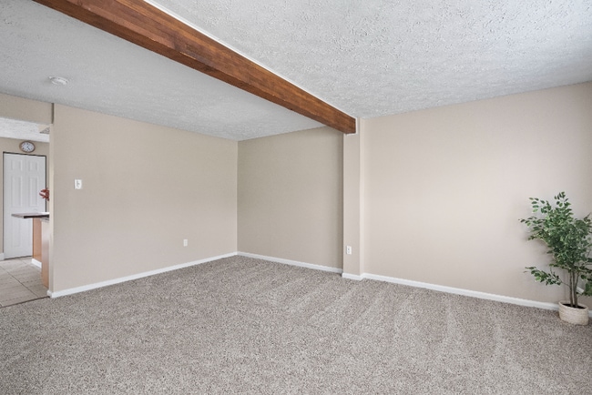 Photo - 131 Spruce Woods Ct
