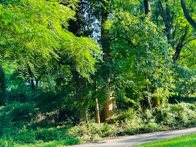 Building Photo - 823 W Miner St