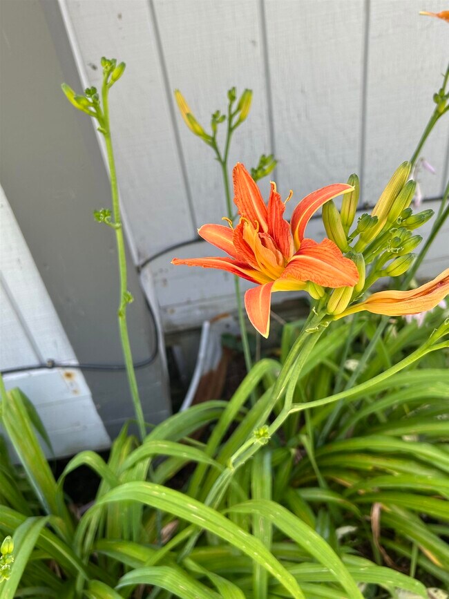 Photo - 4027 Vermont Rte 100