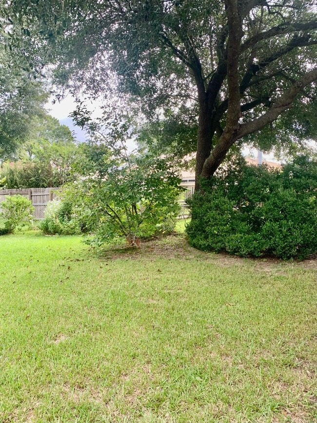 Photo - Perkins / Siegen