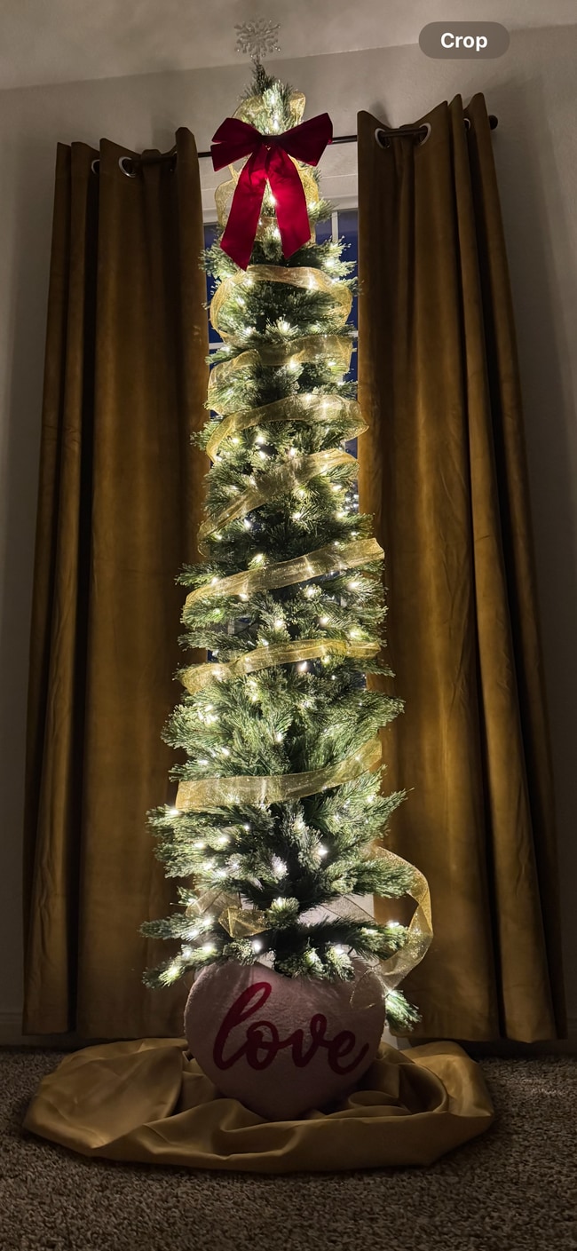 Photo - 815 Midway Cres