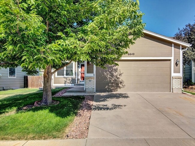 Beautiful ranch-style home! - Beautiful ranch-style home!