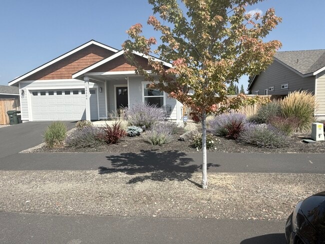 Building Photo - 16504 Bishop Pine St Rental