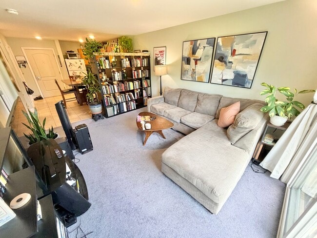 245 Pearl St Unit 302