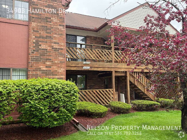 Building Photo - 34903 Hamilton Dr Rental