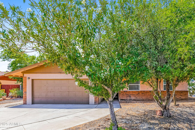 Photo - 2401 E Javelina Ave Casa