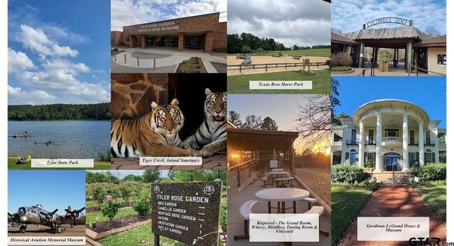 Photo - 10801 Harvest Wood Dr