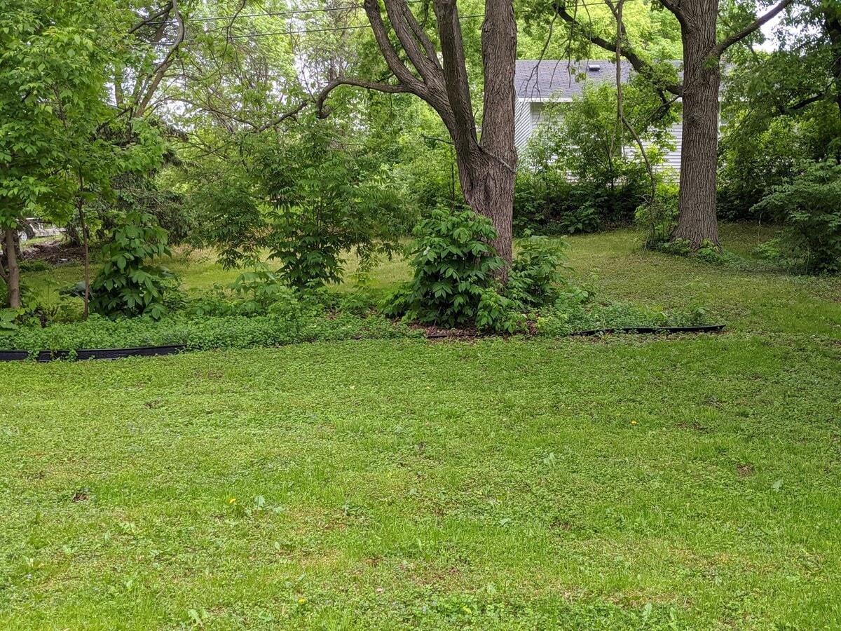 Photo - 209 W Channing Ave