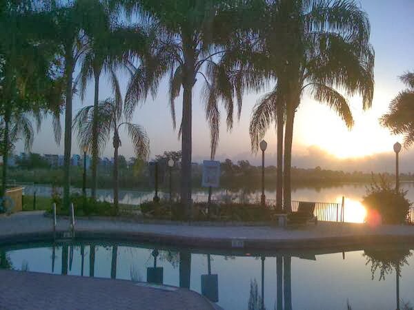 Photo - 2871 N Oakland Forest Dr Unidad 209