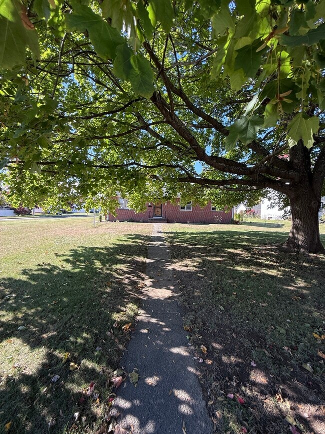 Photo - 42 Suffield St