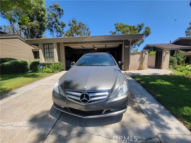 Photo - 5 Morning Glory