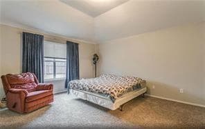 Photo - 2704 Mountain Lion Dr