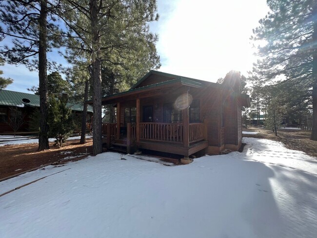 2689 Palomino Trail