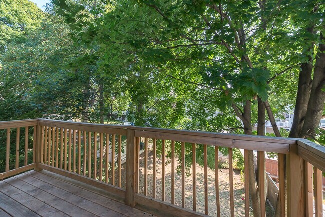 Photo - 31 Champney St Unidad 2