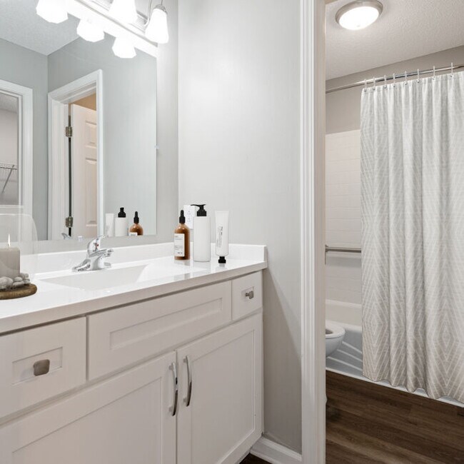 Aurora Apartments Charlotte, NC