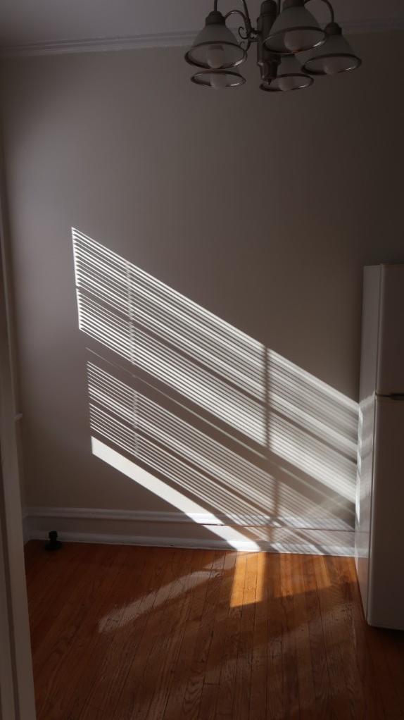 Photo - 1712 W Albion Ave Unit 1716-2D