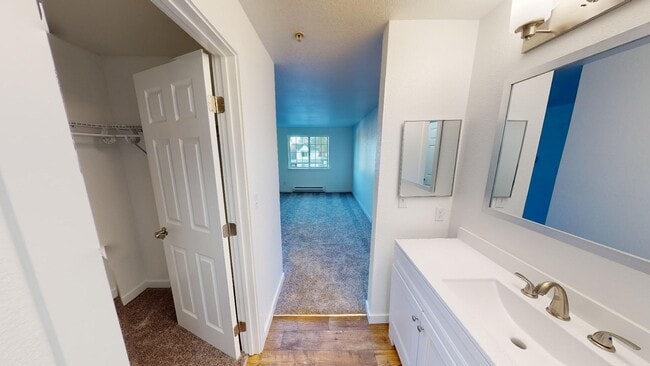 Primary Bedroom Dressing Area