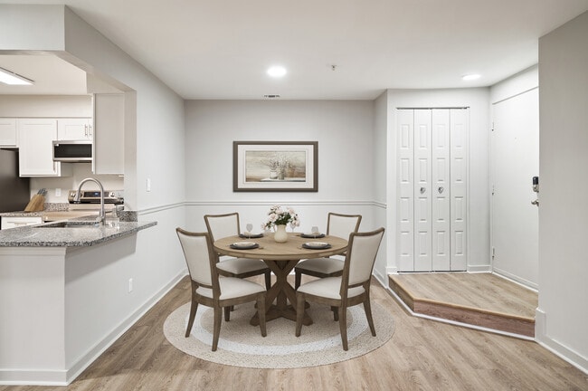 Photo - Cortland Manassas