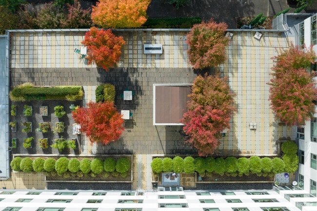 Sun Deck