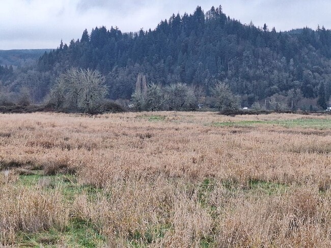 Photo - Countryside Living in Columbia County