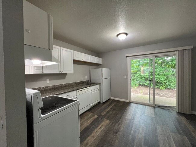 Photo - Cascade Firs